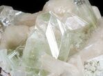 Zoned Apophyllite Crystals on Stilbite Association - India #44446-2